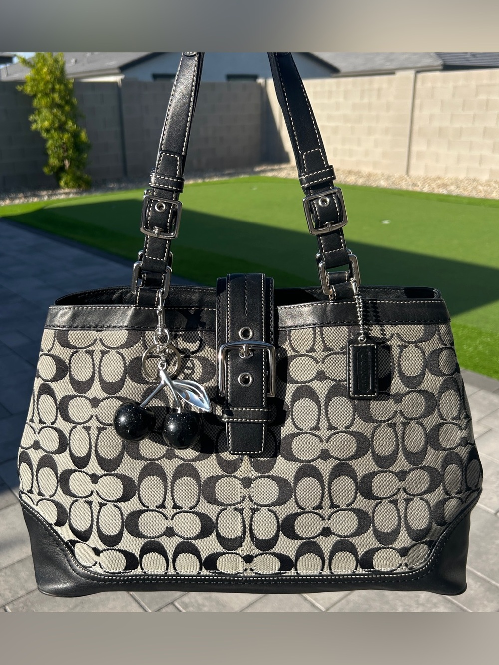 Coach Hamptons Carryall Bag